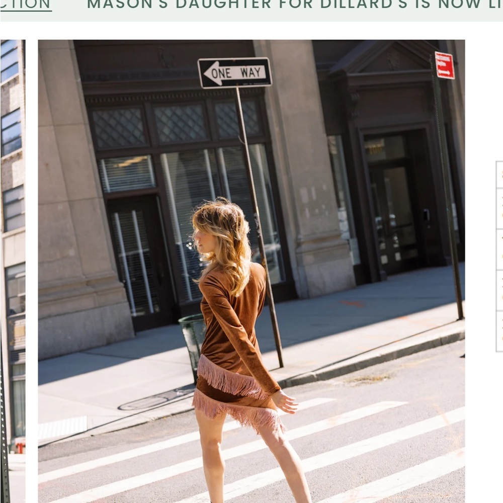 Chic Long Sleeve Brown Velvet with Fringe Dress - Picture 2 of 8